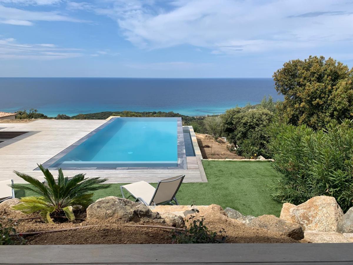 Villa Macagna Corbara Esterno foto