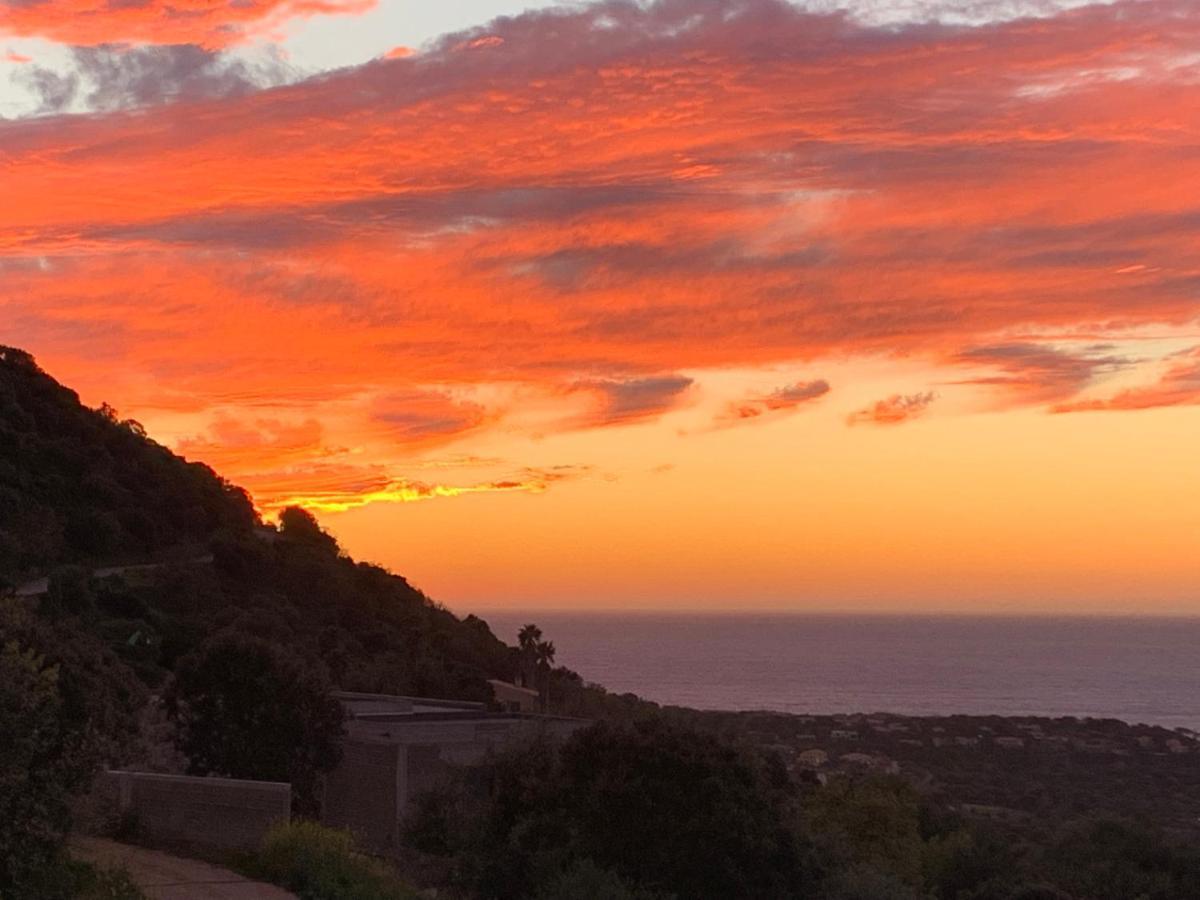 Villa Macagna Corbara Esterno foto